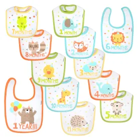 12-Pack Monthly Milestone Bib Set