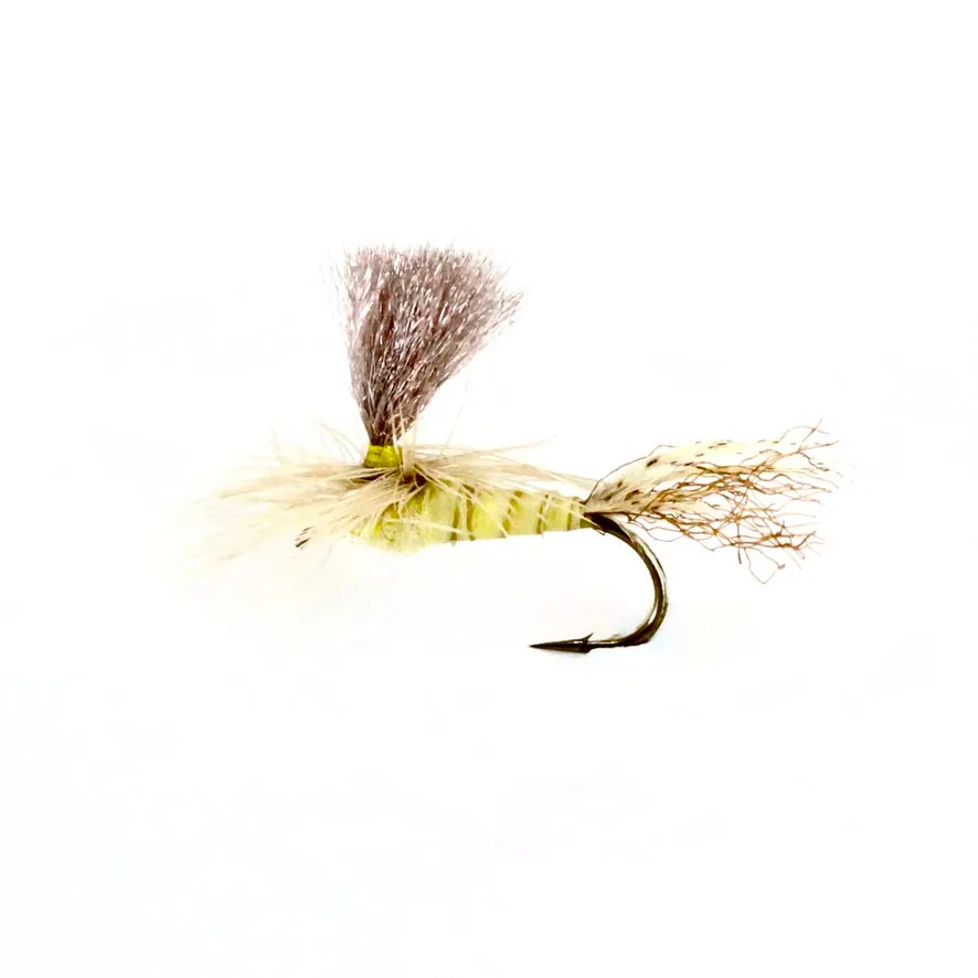 Alex's Biot Parachute Sulphur