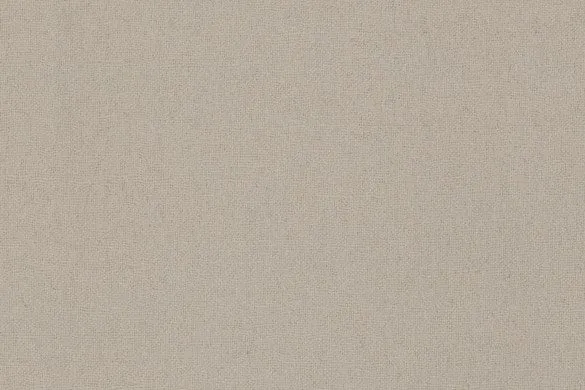 Beige Plain 100% Cashmere (Ref-795376)